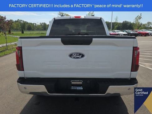Used 2025 Ford F150 XLT w/ Equipment Group 301A Standard AWD/4WD image 11