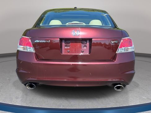 Used 2010 Honda Accord EX-L image 6