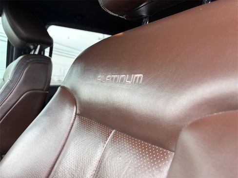 Used 2009 Ford F150 Platinum image 12