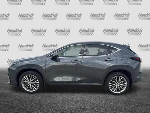Certified 2024 Lexus NX 350 AWD w/ Vision Package image 7