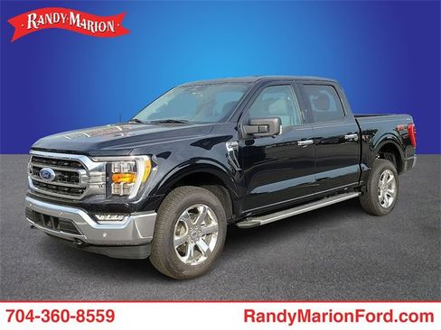 New 2023 Ford F150 XLT w/ Equipment Group 302A High image 1