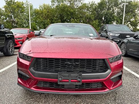 Used 2025 Ford Mustang Premium RWD image 2