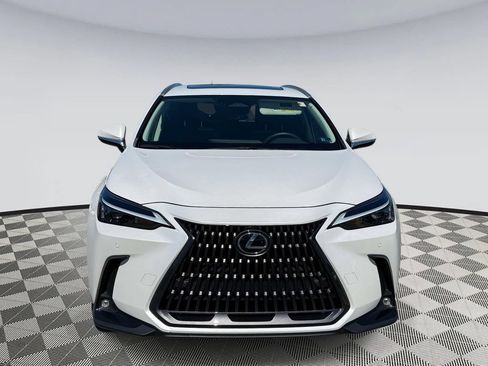 Used 2024 Lexus NX 350 AWD w/ Cold Area Package image 6