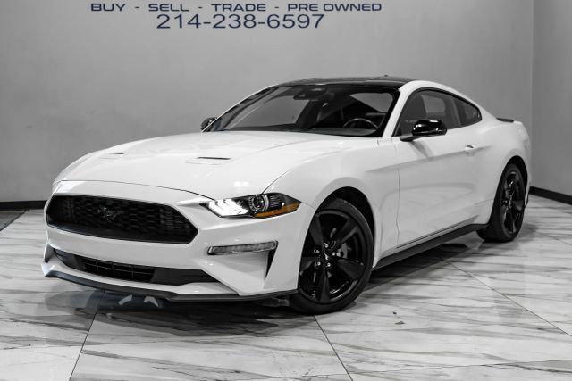 Used 2023 Ford Mustang Premium w/ Mustang Nite Pony Package RWD image 2