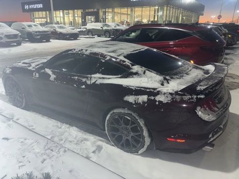 Used 2018 Ford Mustang Coupe w/ Ecoboost Performance Package image 2