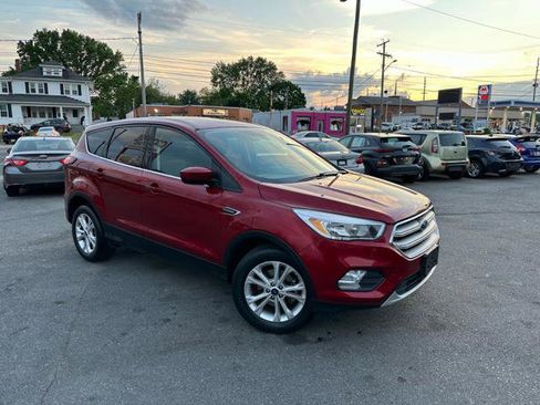 Used 2019 Ford Escape SE image 2