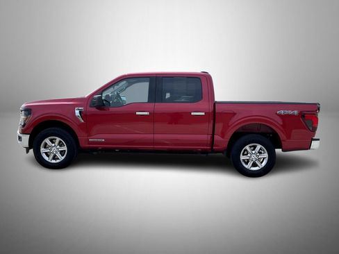 Used 2025 Ford F150 XLT w/ Equipment Group 301A Standard AWD/4WD image 8