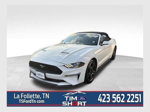 Used 2022 Ford Mustang Premium image 1