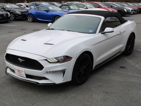 Used 2019 Ford Mustang Premium image 4