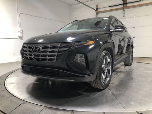 Used 2023 Hyundai Tucson Limited image 3