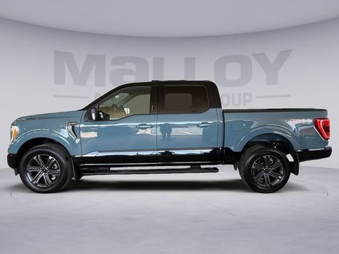 Used 2023 Ford F150 XLT w/ Equipment Group 302A High image 2