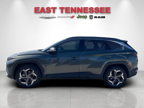 Used 2023 Hyundai Tucson Limited AWD/4WD image 6
