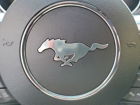 Used 2019 Ford Mustang Premium w/ Equipment Group 201A image 24