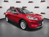 Used 2022 Ford Escape SE image 3