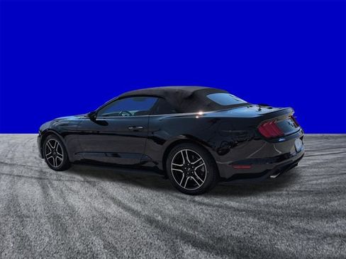 Certified 2019 Ford Mustang Premium RWD image 6