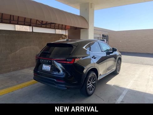 Used 2024 Lexus NX 250 AWD w/ Cold Area Package image 4