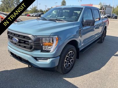 Used 2023 Ford F150 XLT w/ Equipment Group 302A High