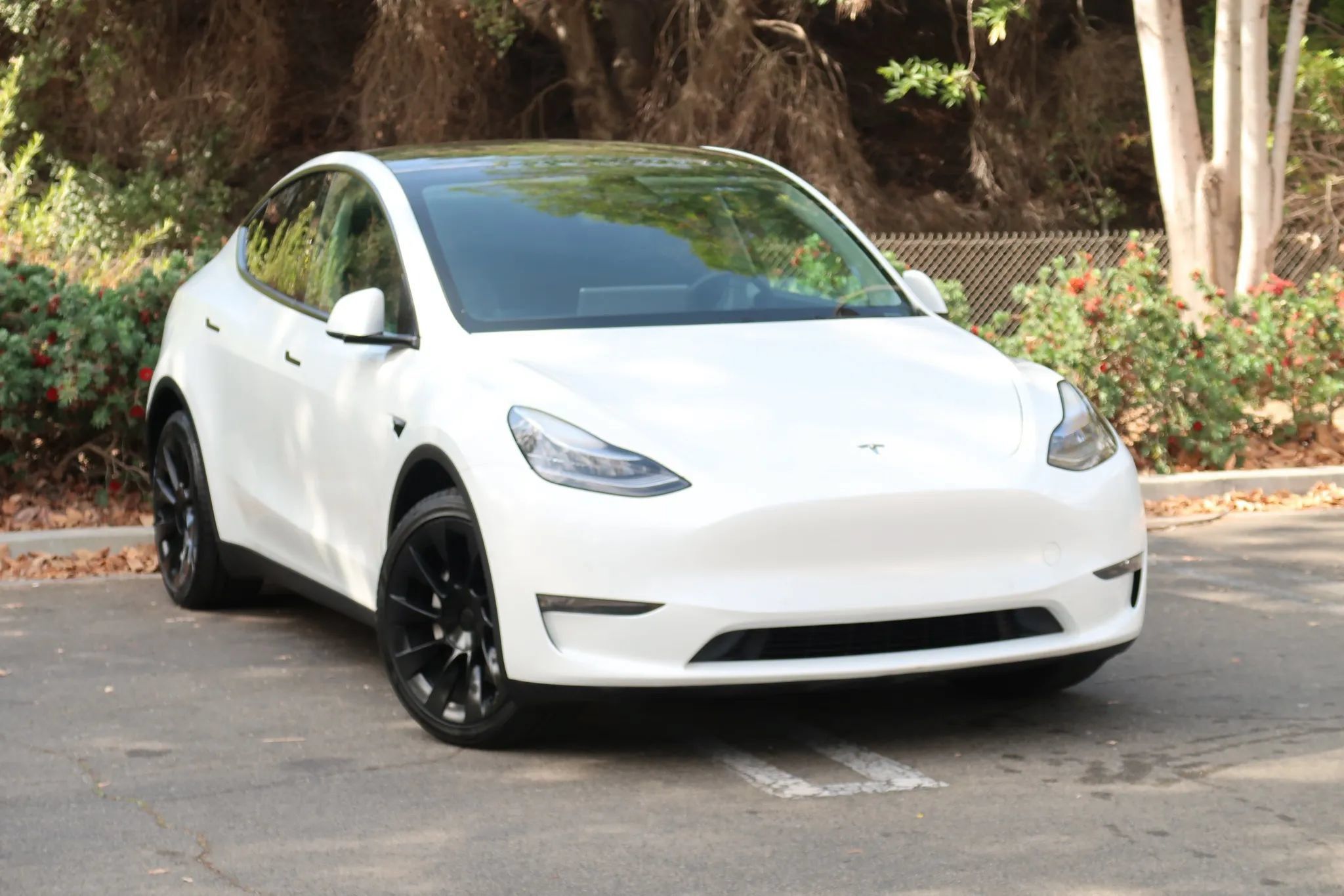 Used 2021 Tesla Model Y Long Range AWD/4WD image 2