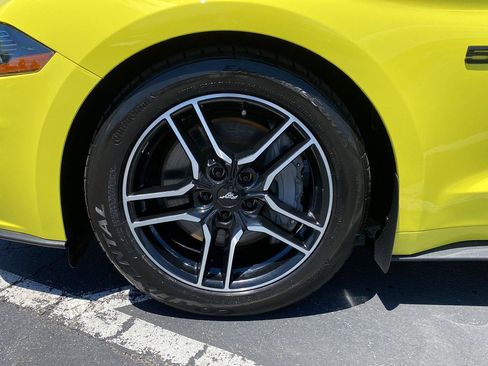 Used 2021 Ford Mustang GT w/ Equipment Group 301A RWD image 15