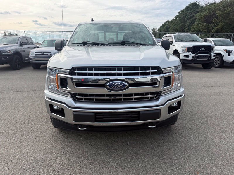Used 2019 Ford F150 XLT w/ Equipment Group 301A Mid AWD/4WD image 11