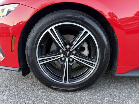 Used 2024 Ford Mustang Premium image 12