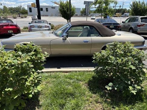 Used 1995 Jaguar XJS 4.0 Convertible image 5