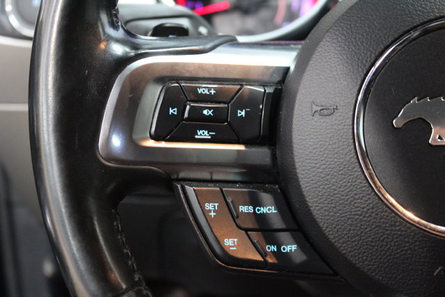 Used 2019 Ford Mustang GT Premium RWD image 14