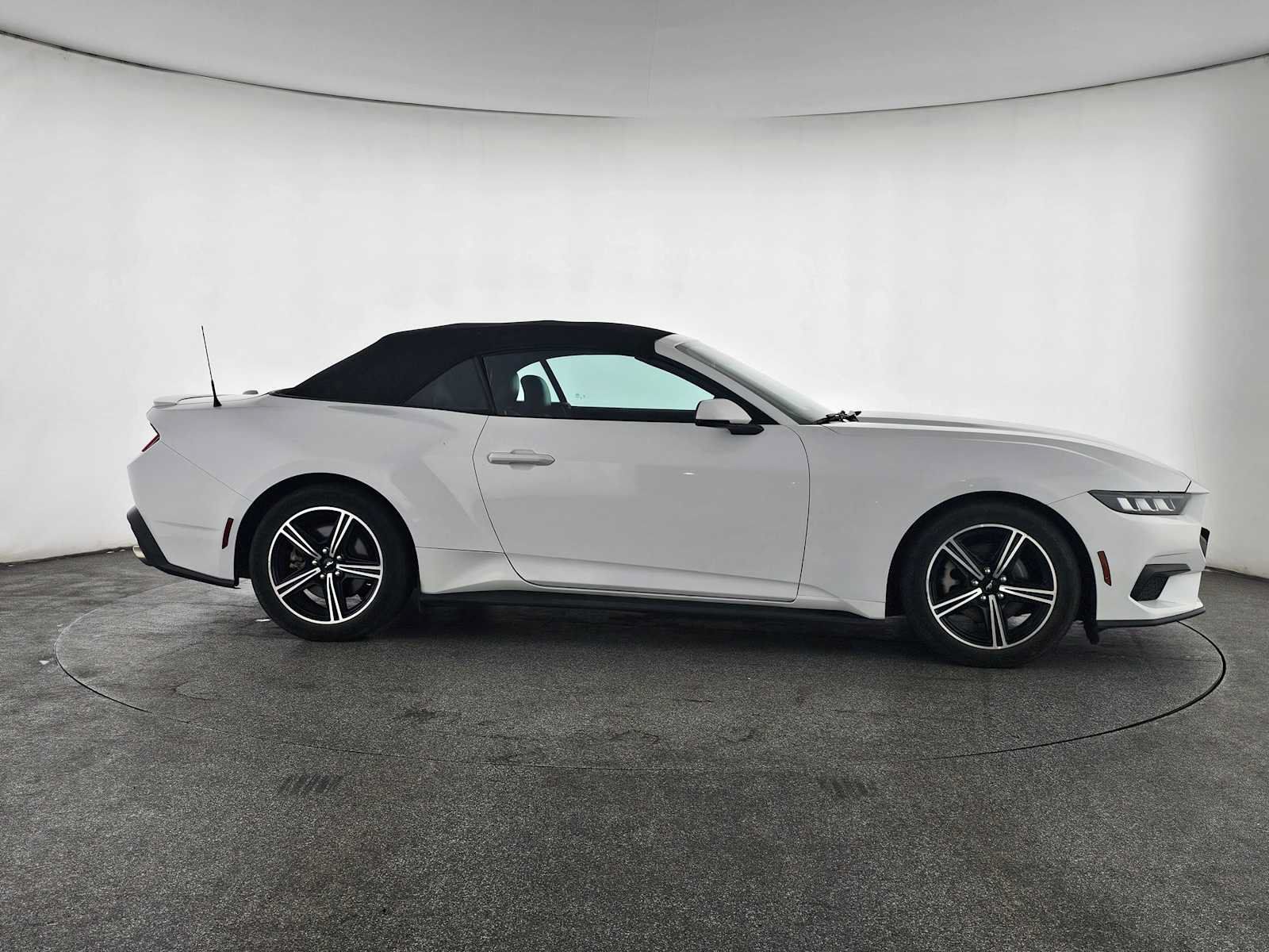 Used 2024 Ford Mustang Premium RWD image 2