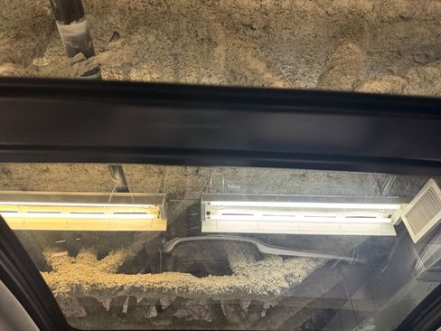 Certified 2023 Acura MDX FWD w/ Technology Package image 17