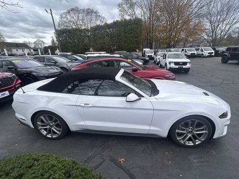 Used 2023 Ford Mustang Premium w/ Equipment Group 201A image 10