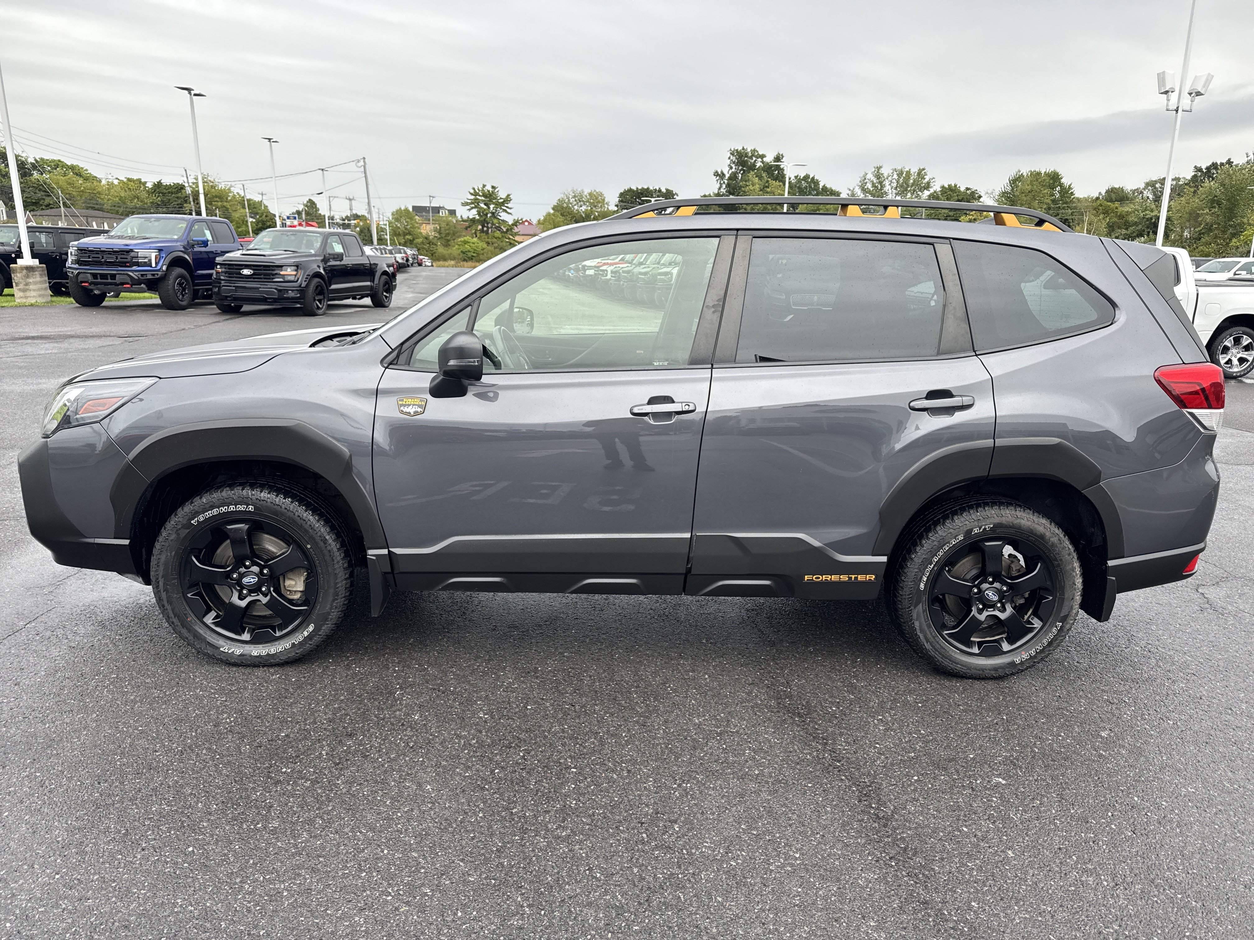 Used 2024 Subaru Forester Wilderness AWD/4WD image 8
