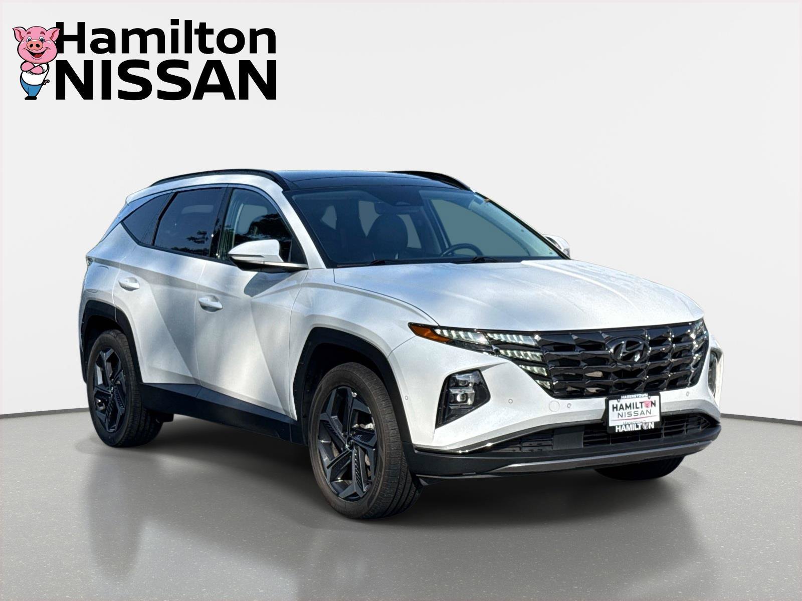 Used 2024 Hyundai Tucson Limited AWD/4WD image 1