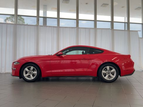 Used 2019 Ford Mustang Coupe image 2