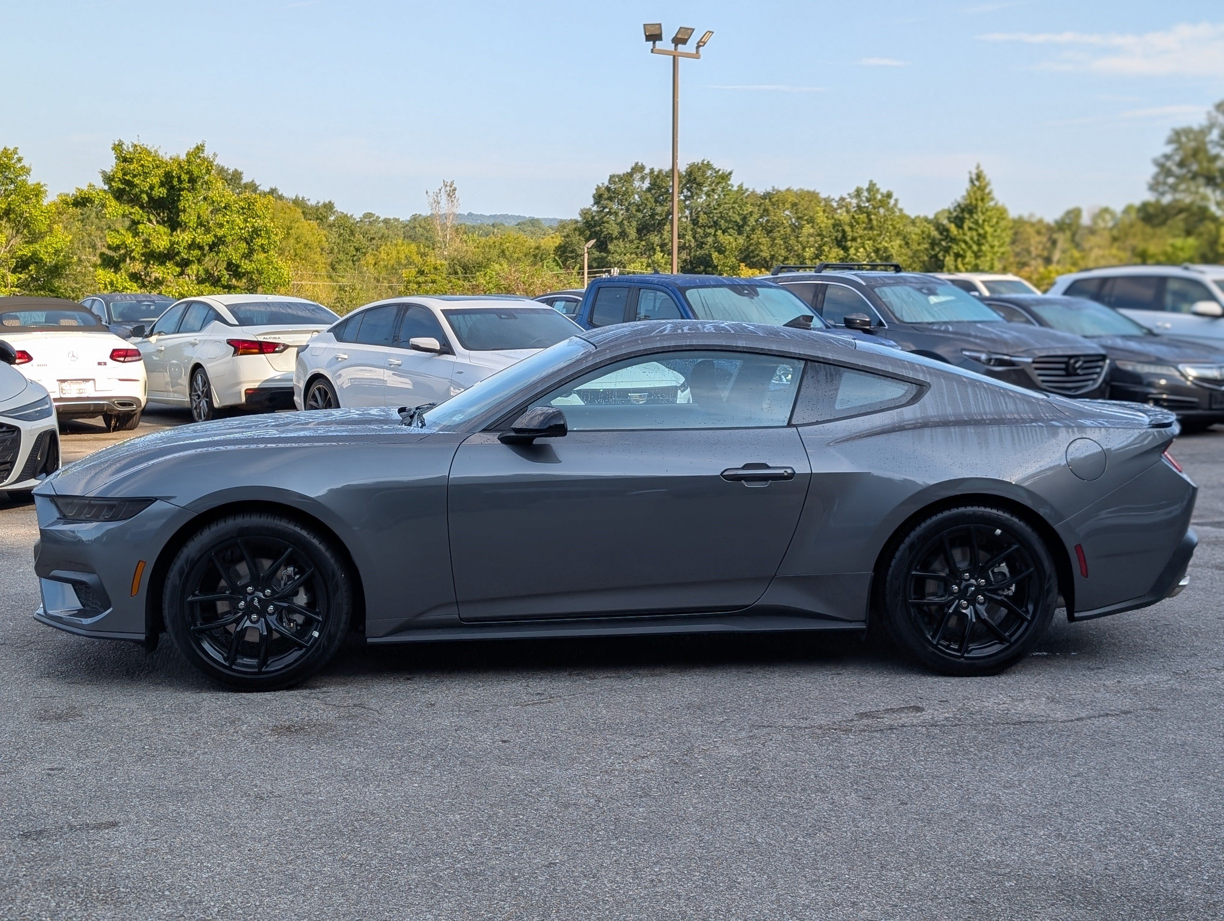 Used 2026 Ford Mustang Coupe w/ Mustang Nite Pony Package RWD image 6