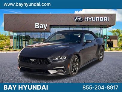 Used 2024 Ford Mustang Premium