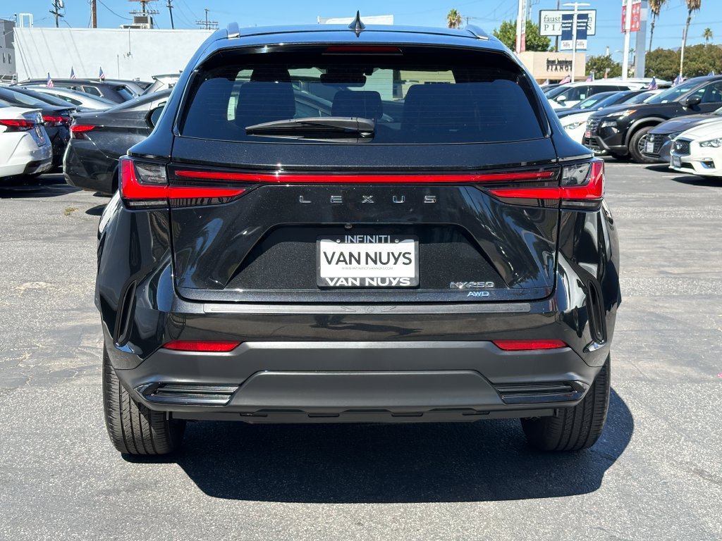 Used 2024 Lexus NX 250 AWD w/ Cold Area Package image 6