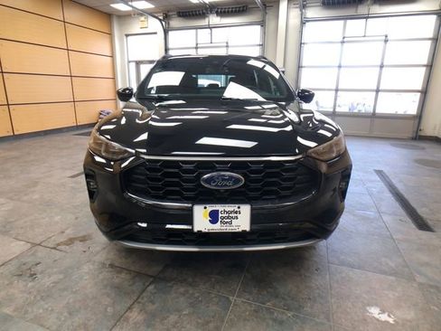 Used 2025 Ford Escape ST-Line Elite w/ Premium Technology Package image 2