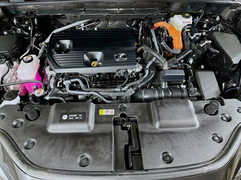 Certified 2025 Lexus NX 350h AWD w/ Cold Area Package image 28