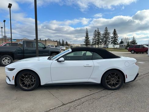 New 2026 Ford Mustang Premium RWD image 3