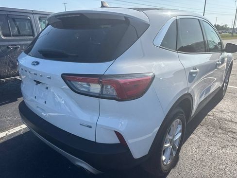 Used 2020 Ford Escape SE AWD/4WD image 4