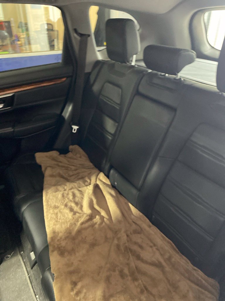 Used 2019 Honda CR-V EX-L image 12