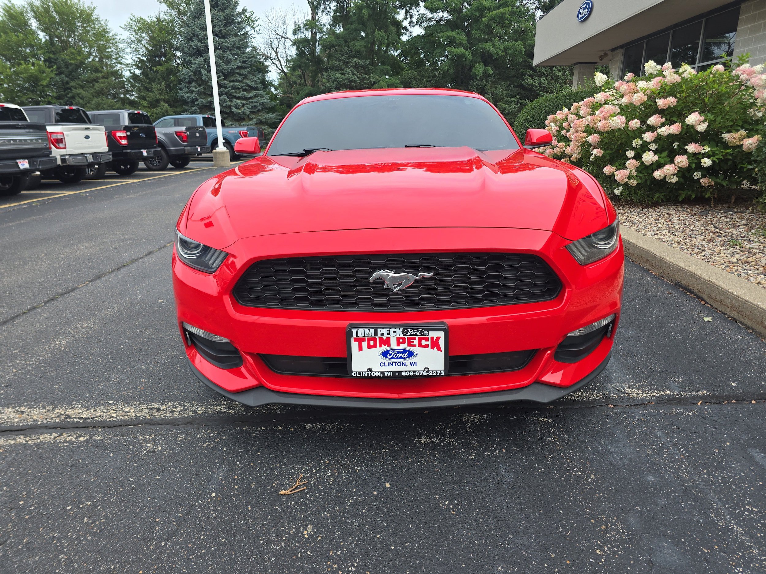 Used 2017 Ford Mustang Coupe RWD image 5