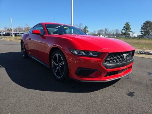 Used 2024 Ford Mustang Premium RWD image 1