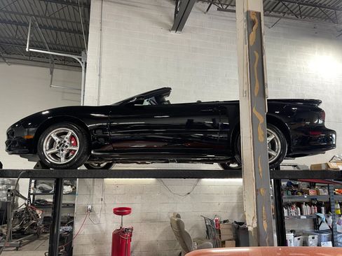 Used 1999 Pontiac Firebird Trans Am RWD image 86