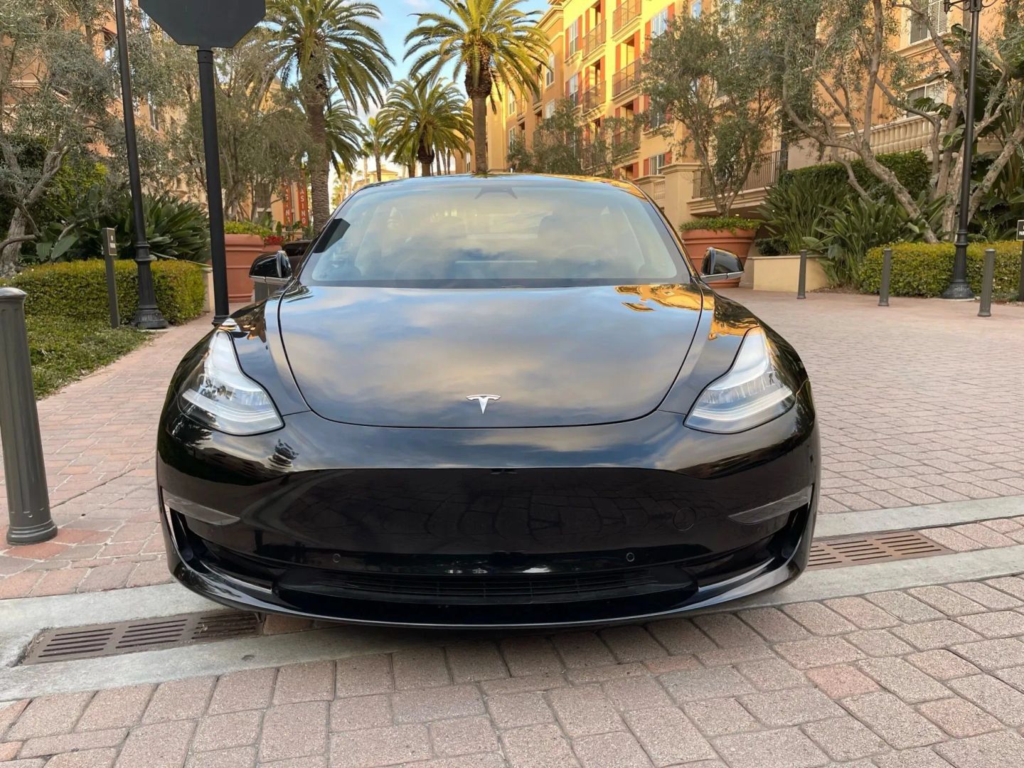 Used 2019 Tesla Model 3 Standard Range Plus RWD image 3