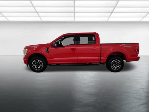 Certified 2023 Ford F150 XLT w/ Equipment Group 302A High AWD/4WD image 6