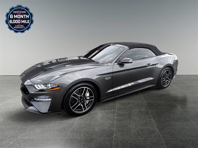 Used 2019 Ford Mustang GT Premium w/ Equipment Group 401A