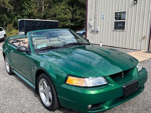 Used 1999 Ford Mustang Cobra image 6