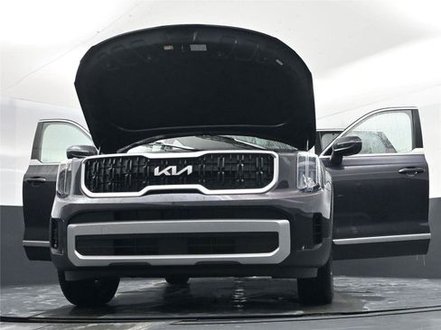 New 2025 Kia Telluride EX image 30