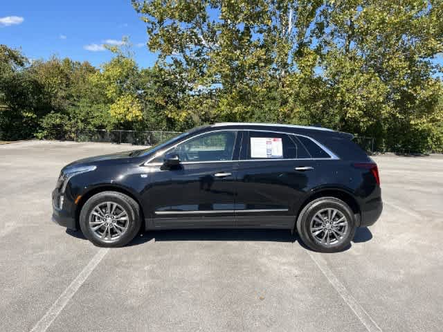 Used 2023 Cadillac XT5 Premium Luxury AWD/4WD image 5